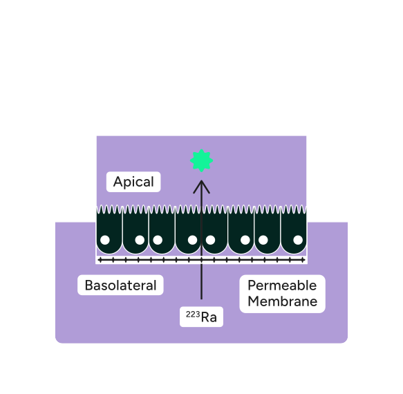 Works Image